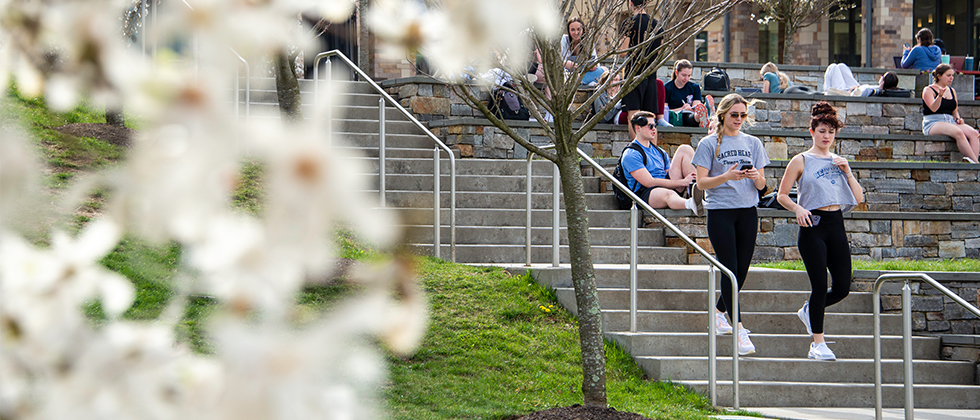 Students walking down steps on campus
