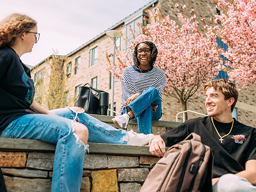 Students hanging out outside
