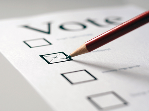 Close up of a pencil checking a box on a voting form