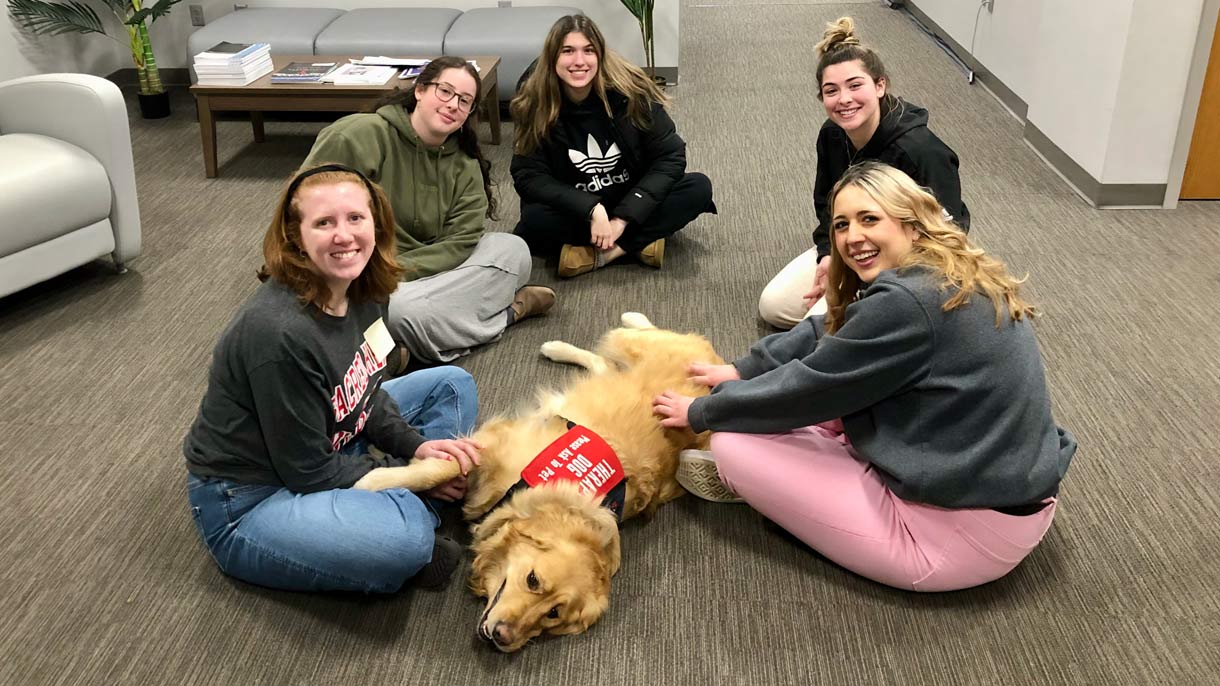 Group of students petting golden retriever