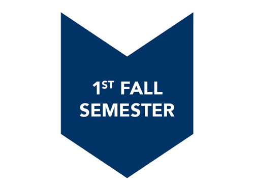 1st Fall Semester