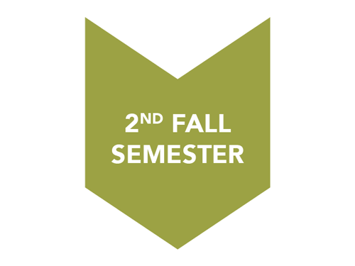 2nd Fall Semester