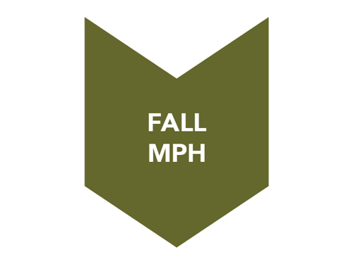 Fall MPH