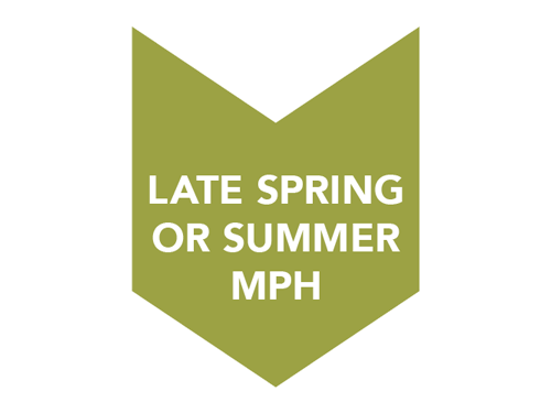 Late Spring or Summer MPH