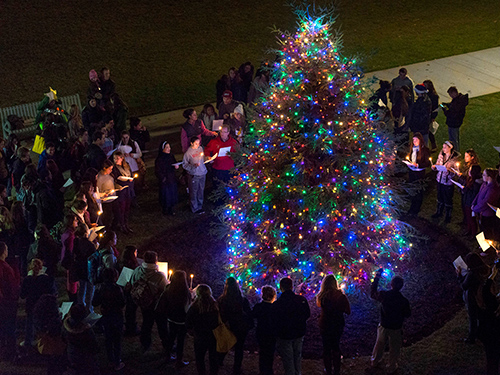 Christmas tree lighting