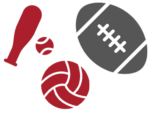 Sports balls