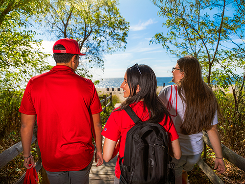 Three people walking on a path to the beach