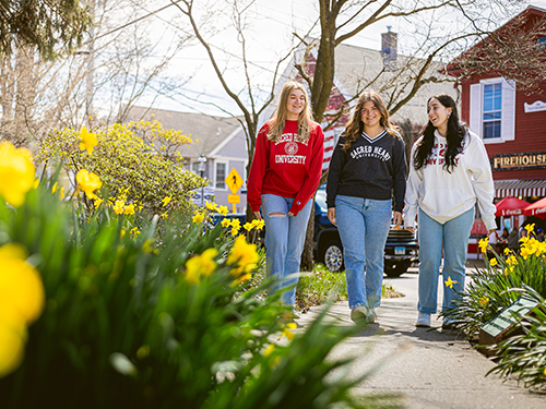 Three people walking on a path through daffodils