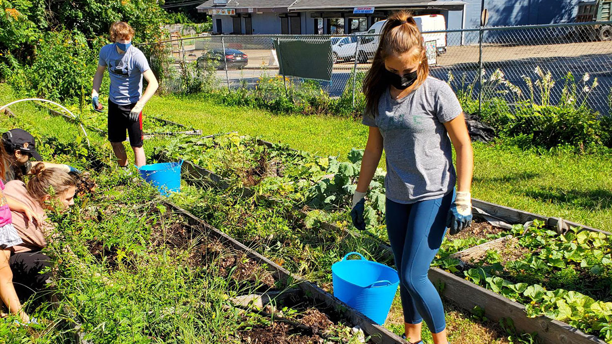 SHU-WELL students volunteer at the Reservoir Community Farm in Bridgeport.