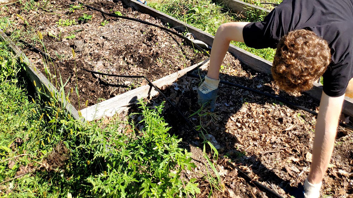 SHU-WELL students volunteer at the Reservoir Community Farm in Bridgeport.