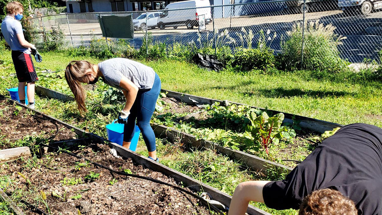 SHU-WELL students volunteer at the Reservoir Community Farm in Bridgeport.