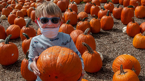 Harvest Happiness at Silvermans Farm