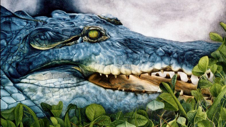 drawing of a dinosaur 