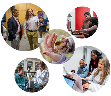 collage of students doing and presenting research