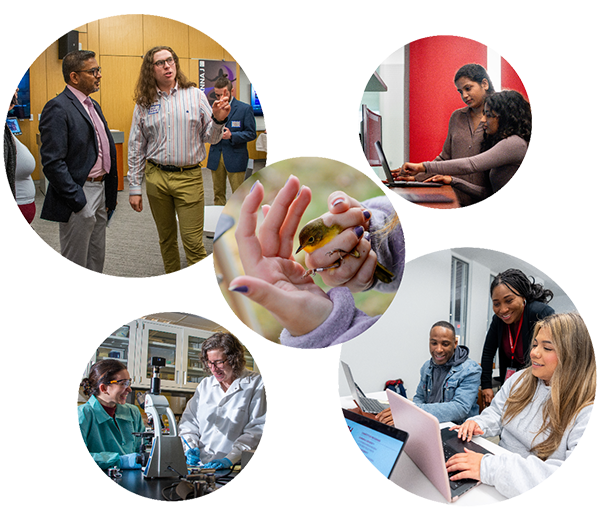 collage of students doing and presenting research