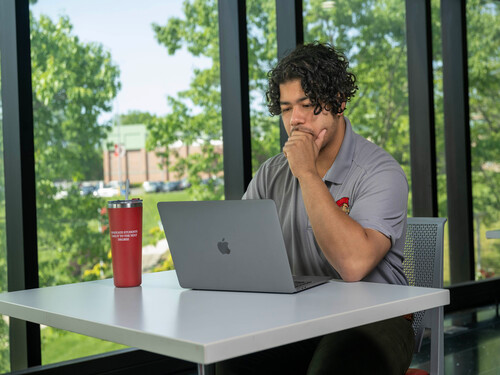 Student working on laptop