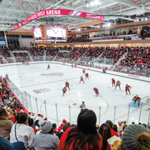 Hockey game at the Martire Family Arena