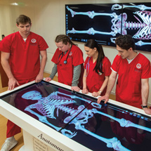 Students looking at anatomage table