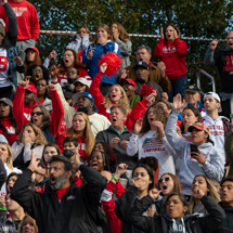 Crowd at football game