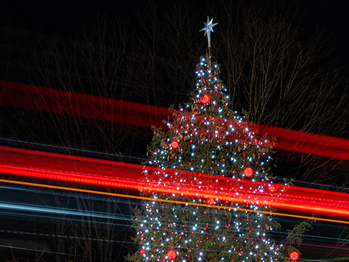 a lit Christmas tree